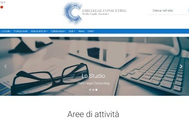 GMS Legal Consulting